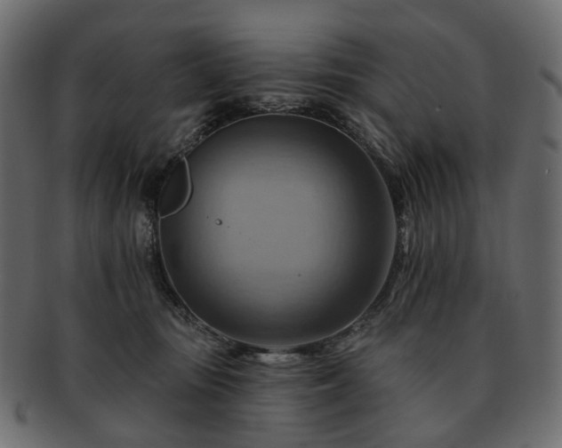 X0000093220371200710031444