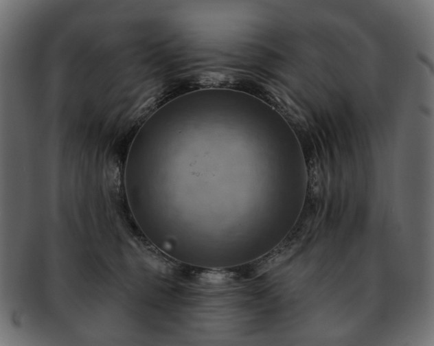 X0000093220375200710031444