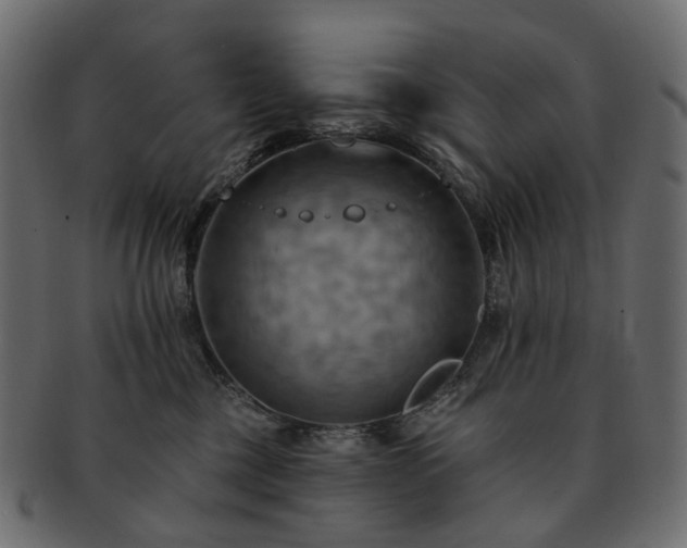 X0000093220377200710031444