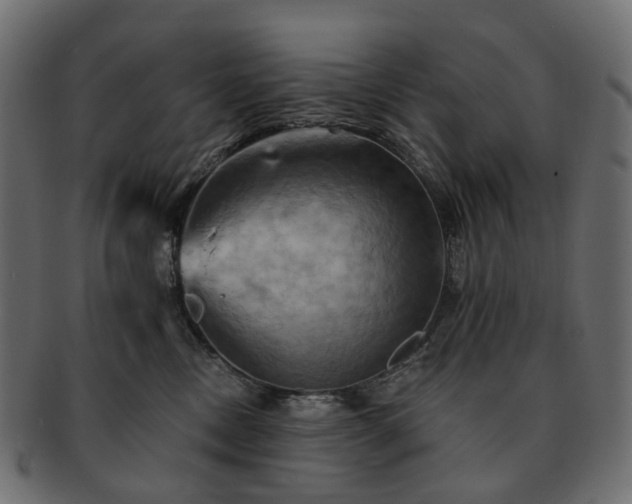 X0000093220378200710031444