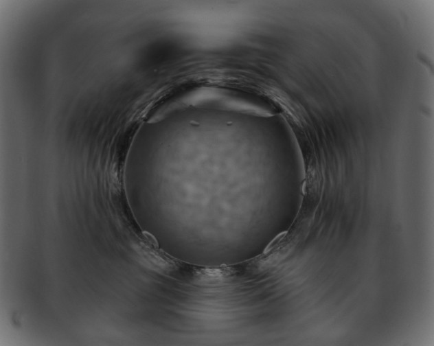 X0000093220381200710031444