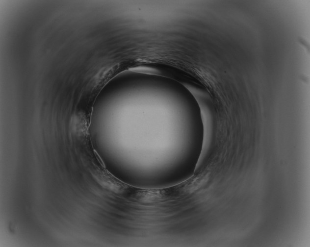 X0000093220384200710031444