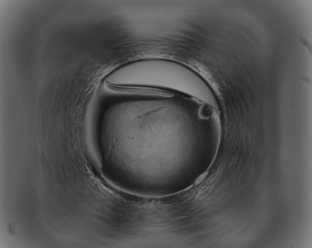 X0000093220385200710031443