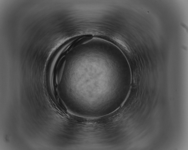 X0000093220388200710031443