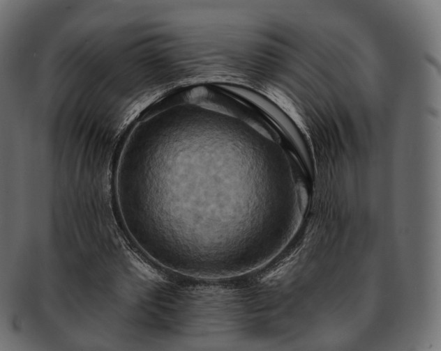 X0000093220389200710031443