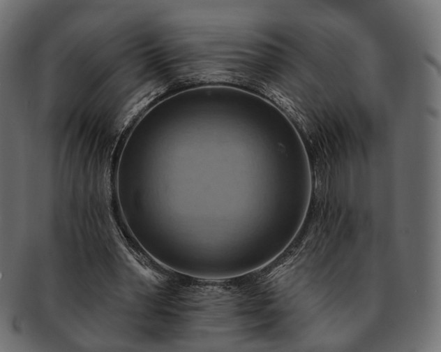 X0000093220390200710031443