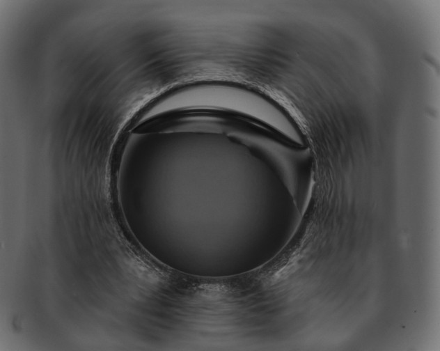 X0000093220391200710031443