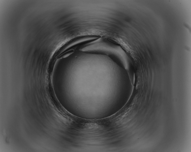 X0000093220392200710031443