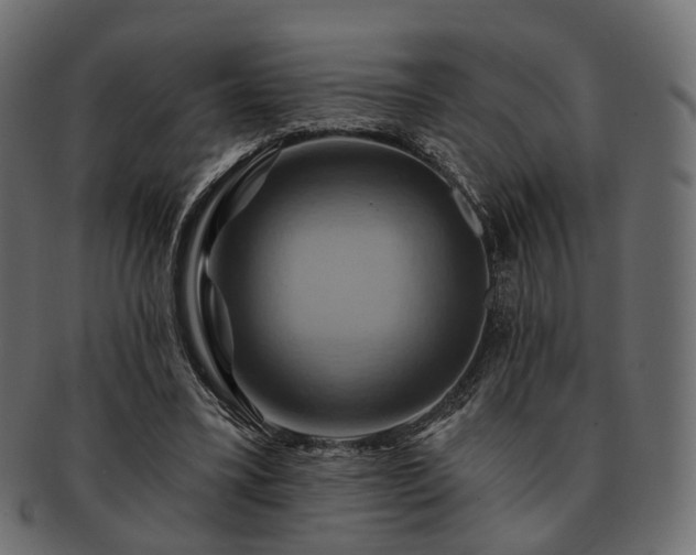 X0000093220395200710031443