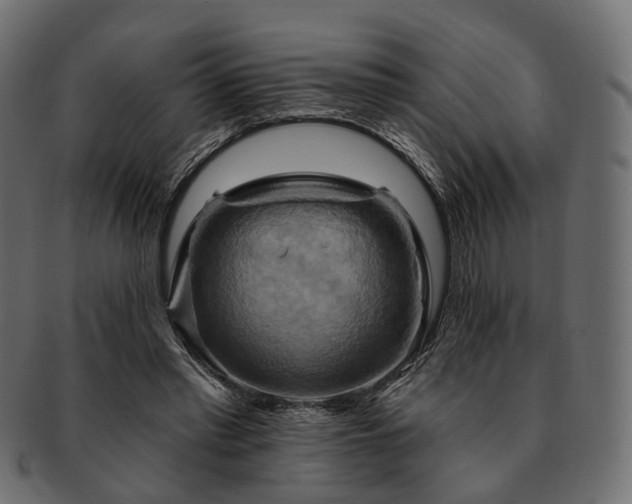 X0000093220397200710031443