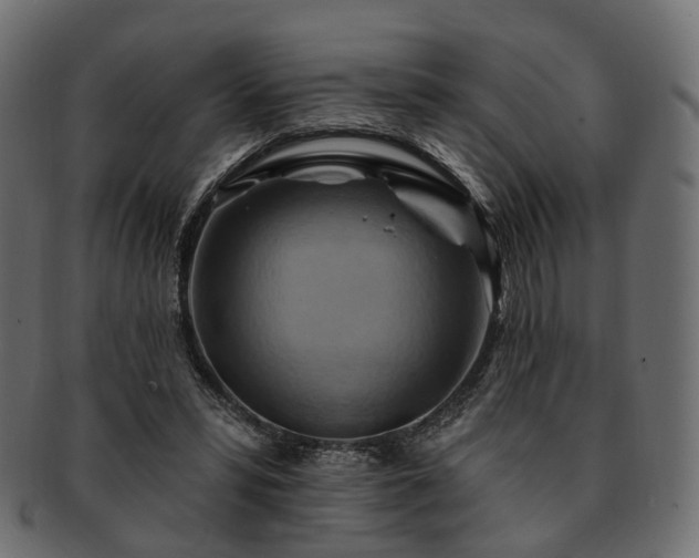 X0000093220399200710031443