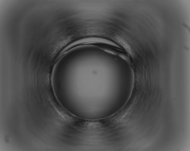 X0000093220401200710031443