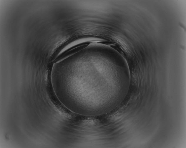 X0000093220404200710031443