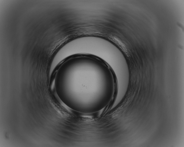 X0000093220405200710031443