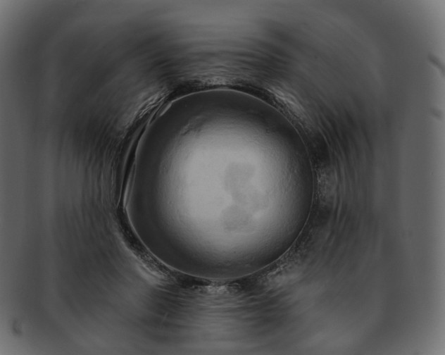 X0000093220406200710031443