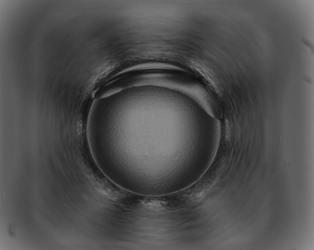 X0000093220407200710031443