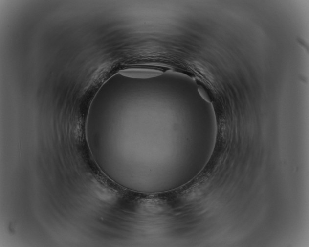 X0000093220408200710031443