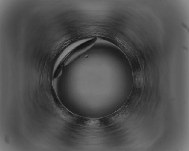 X0000093220410200710031443