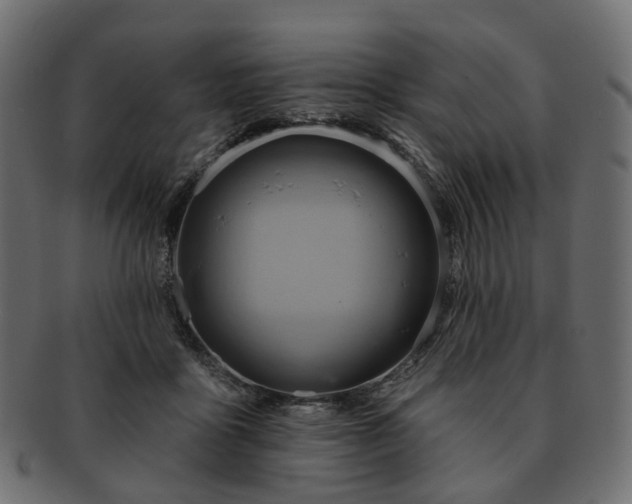 X0000093220411200710031443