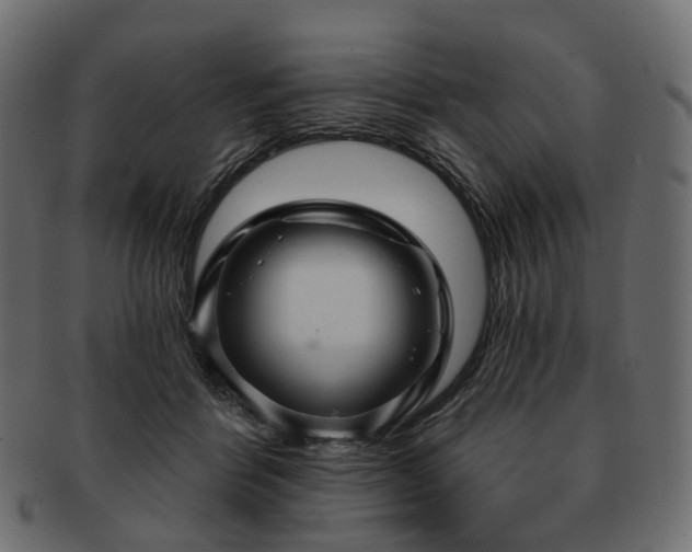 X0000093220412200710031443