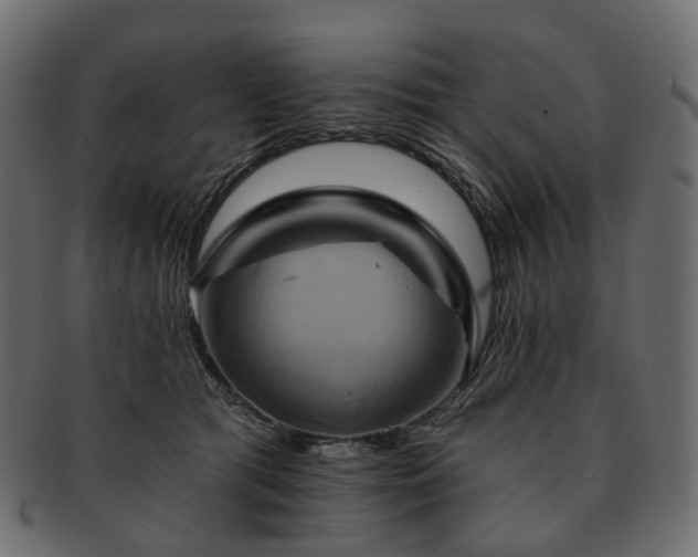 X0000093220417200710031443