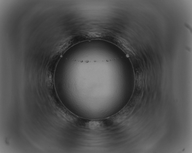 X0000093220418200710031443