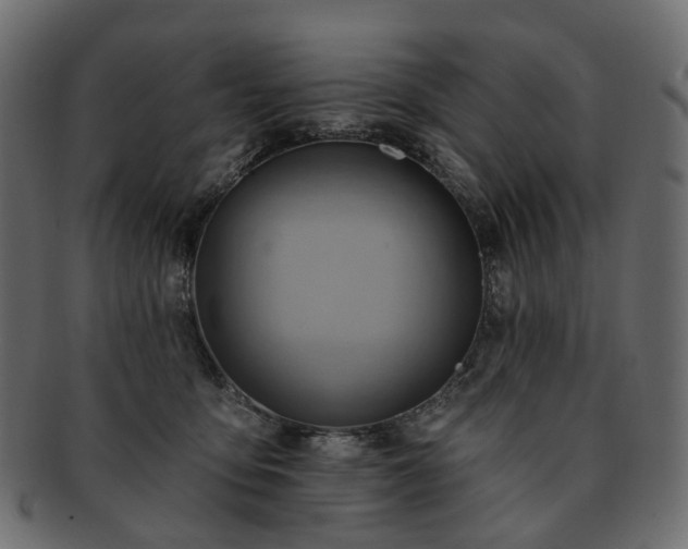 X0000093220419200710031443