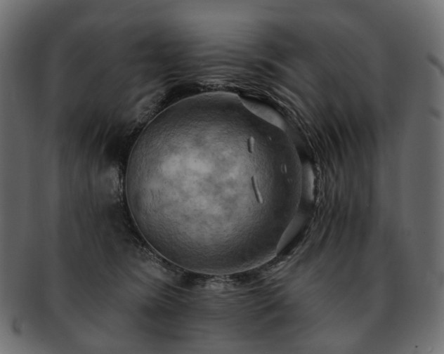 X0000093220420200710031443