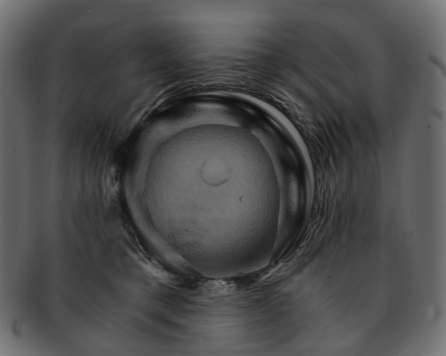 X0000093220421200710031443