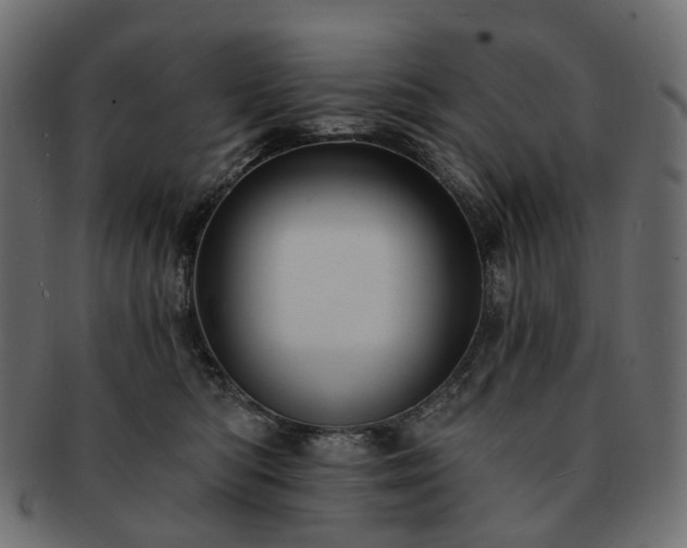 X0000093220422200710031443