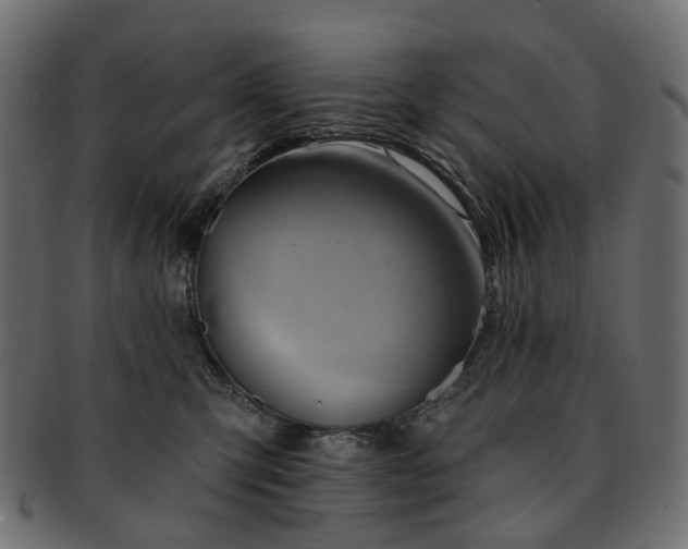 X0000093220423200710031443