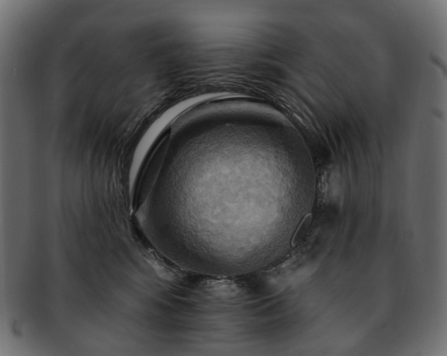 X0000093220424200710031443