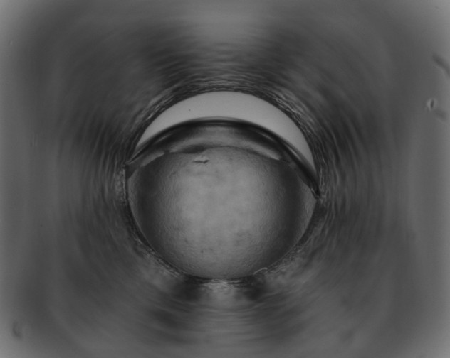 X0000093220425200710031443