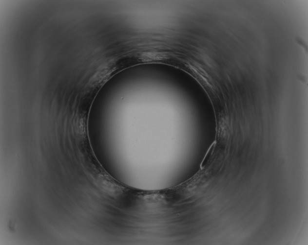 X0000093220426200710031443