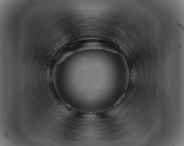 X0000093220428200710031443