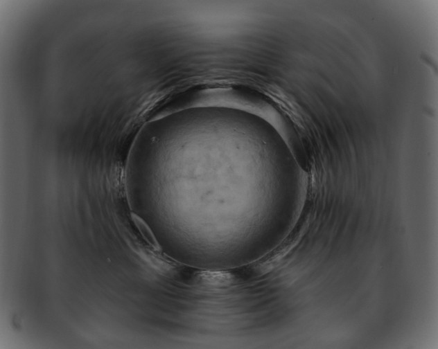 X0000093220429200710031443