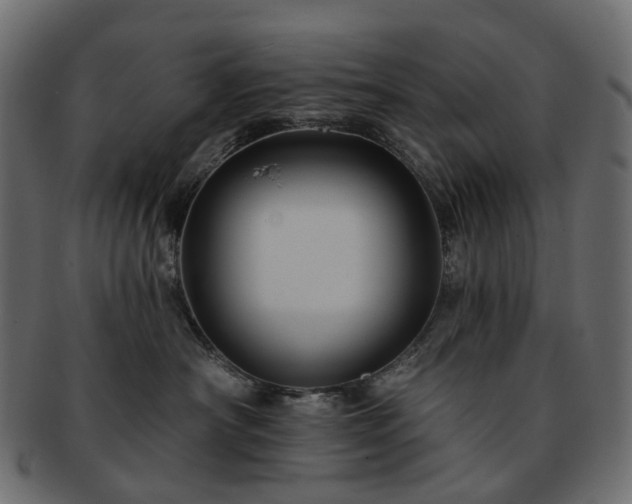 X0000093220430200710031443