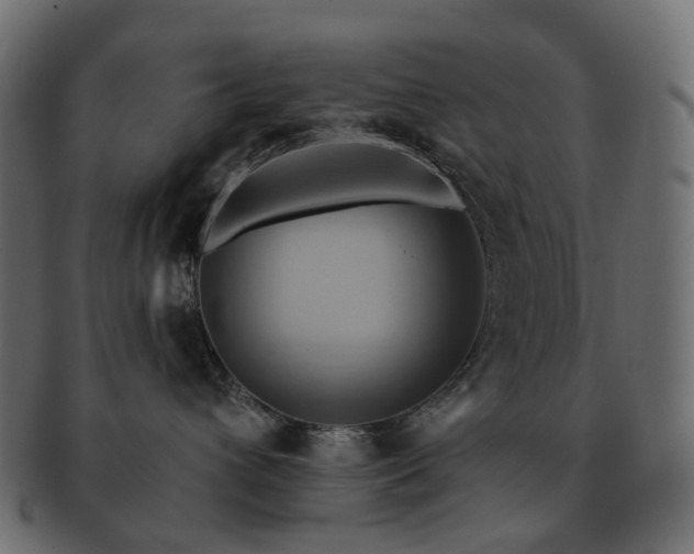 X0000093220432200710031443