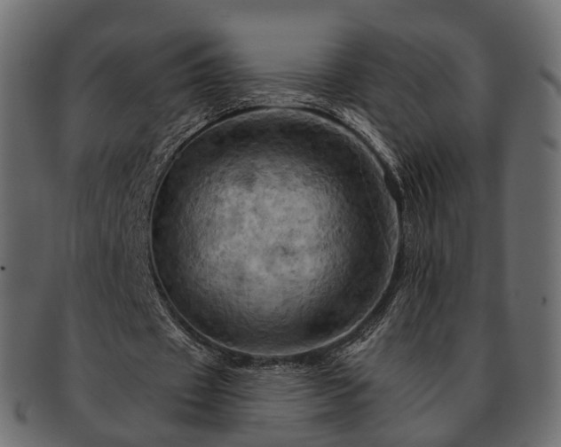 X0000093220433200710031442