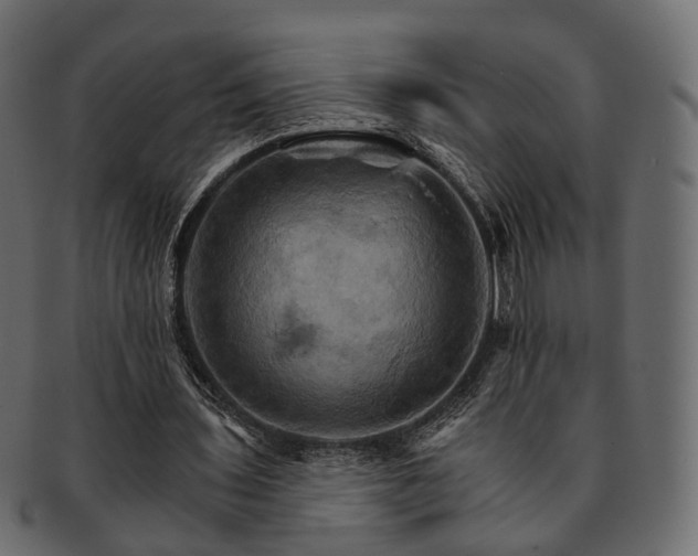 X0000093220435200710031442