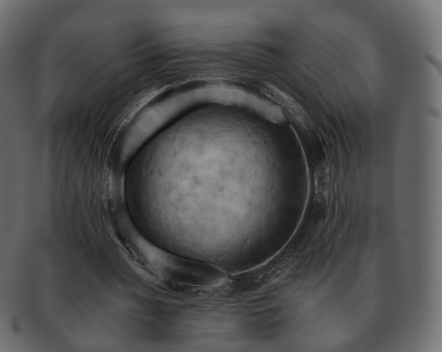 X0000093220436200710031442