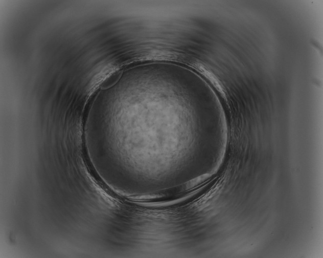 X0000093220437200710031442