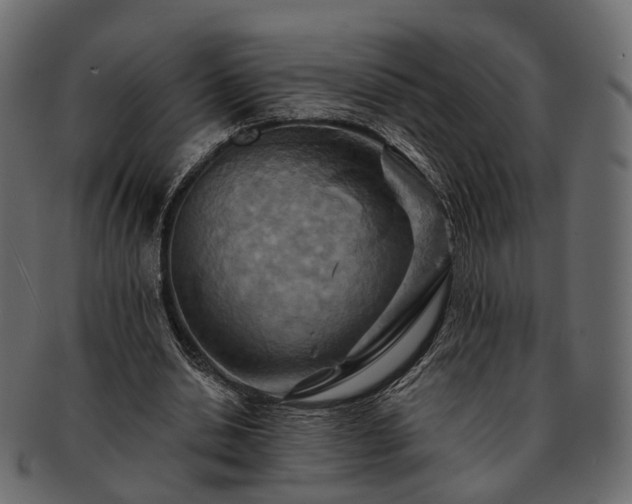 X0000093220438200710031442