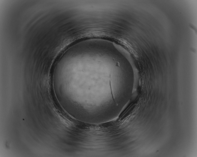 X0000093220439200710031442