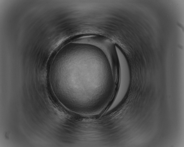 X0000093220440200710031442