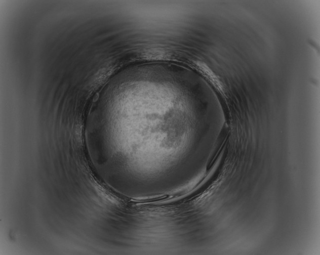 X0000093220441200710031442