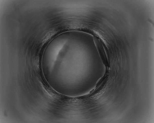 X0000093220443200710031442