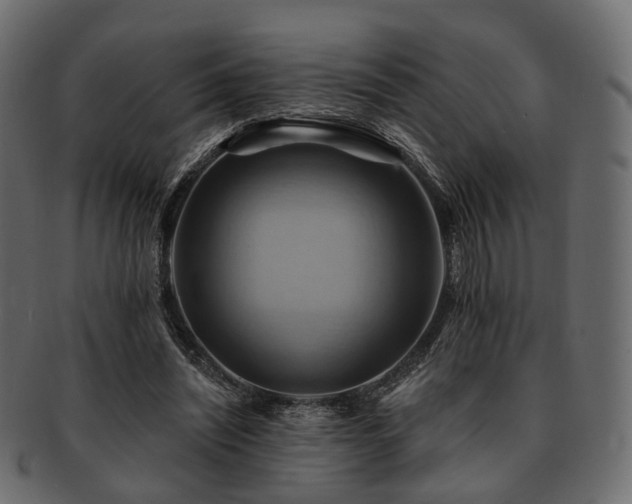 X0000093220444200710031442