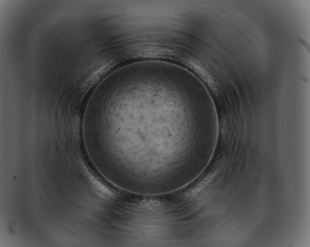 X0000093220445200710031442