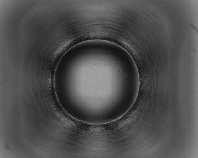 X0000093220446200710031442